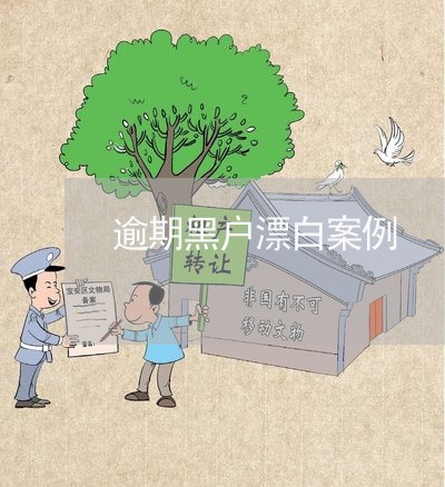 逾期黑户漂白案例 逾期黑户漂白案例