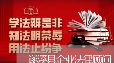 遂溪县企业法律顾问/2023061852516