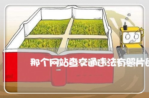 那个网站查交通违法有照片的 那个网站查交通违法有照片的