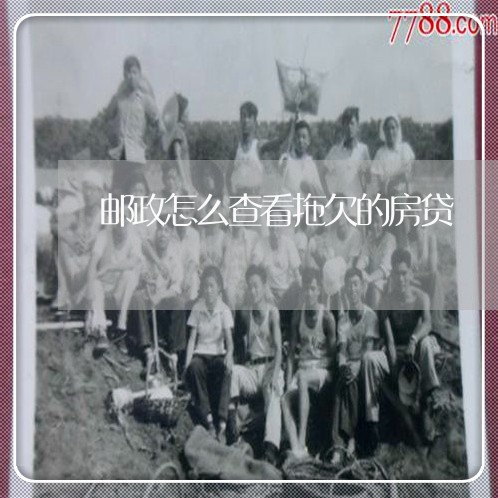 邮政怎么查看拖欠的房贷/2023061061404 邮政怎么查看拖欠的房贷/2023061061404