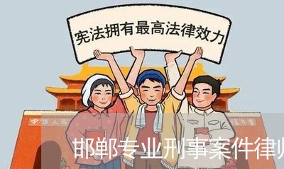 邯郸专业刑事案件律师咨询/2023060228504