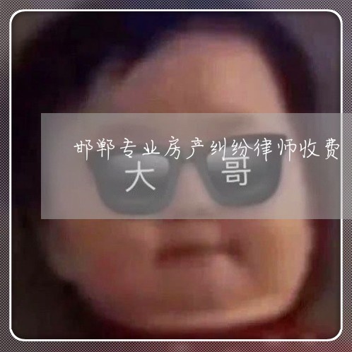 邯郸专业房产纠纷律师收费
