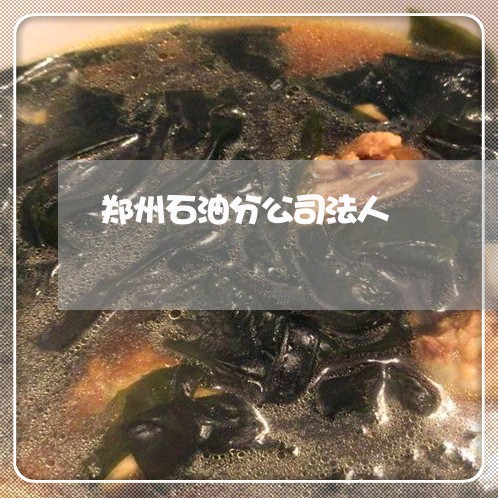 郑州石油分公司法人