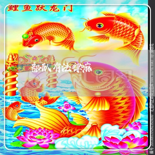 部队有法律嘛