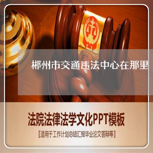 郴州市交通违法中心在那里 郴州市交通违法中心在那里