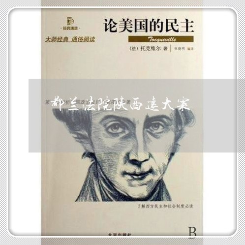 都兰法院陕西远大案 都兰法院陕西远大案