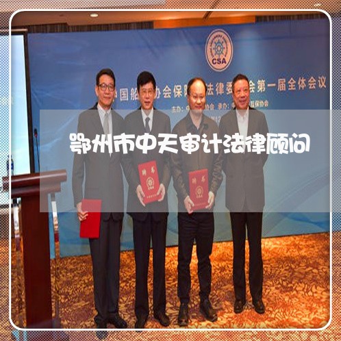 鄂州市中天审计法律顾问 鄂州市中天审计法律顾问