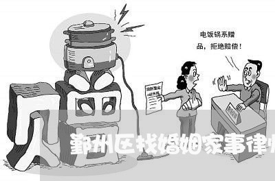 鄞州区找婚姻家事律师团队