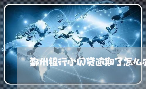 鄞州银行小闪贷逾期了怎么办