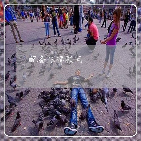 配备法律顾问/2023061774825 配备法律顾问/2023061774825