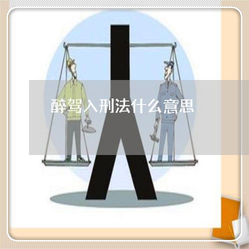 醉驾入刑法什么意思