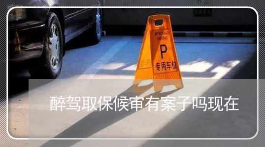 醉驾取保候审有案子吗现在/2023060250625