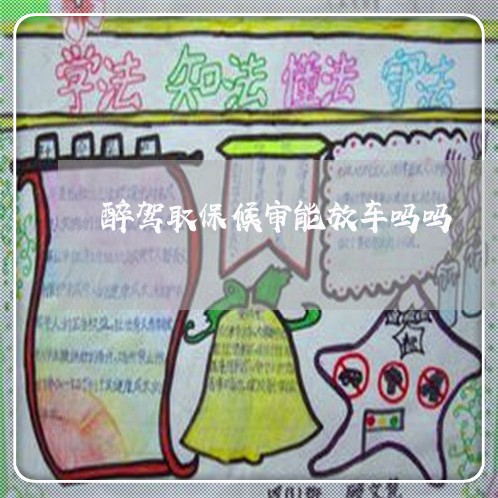 醉驾取保候审能放车吗吗