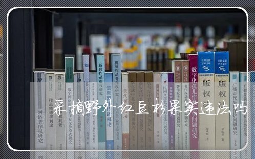 采摘野外红豆杉果实违法吗 采摘野外红豆杉果实违法吗