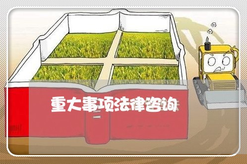 重大事项法律咨询 重大事项法律咨询