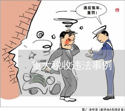 重大税收违法事例