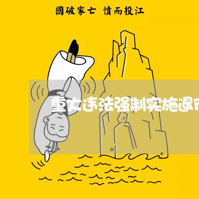 重大违法强制实施退市办法