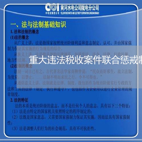 重大违法税收案件联合惩戒制度