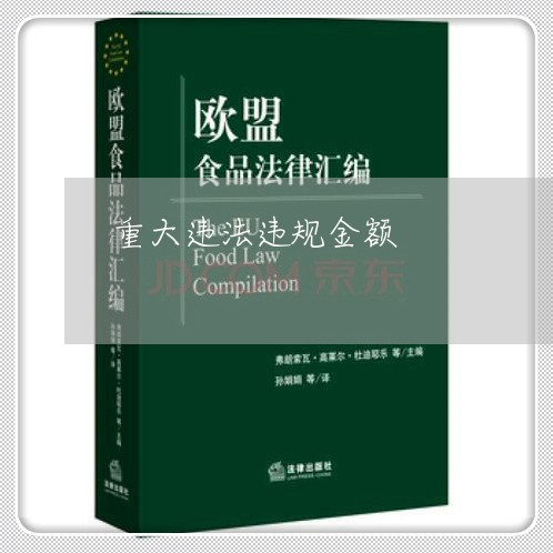 重大违法违规金额 重大违法违规金额