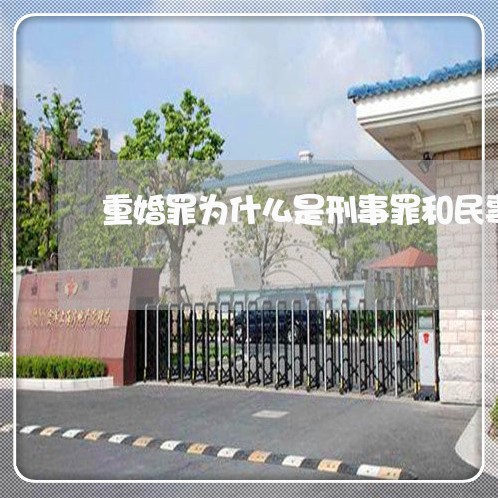 重婚罪为什么是刑事罪和民事罪/2023061248389