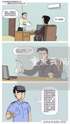 重庆云阳法院审判长