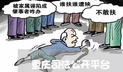 重庆司法公开平台