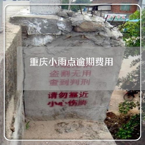 重庆小雨点逾期费用 重庆小雨点逾期费用