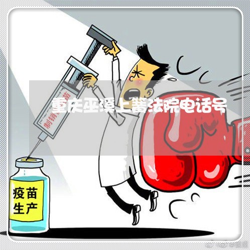重庆巫溪上簧法院电话号