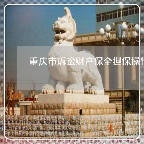重庆市诉讼财产保全担保操作