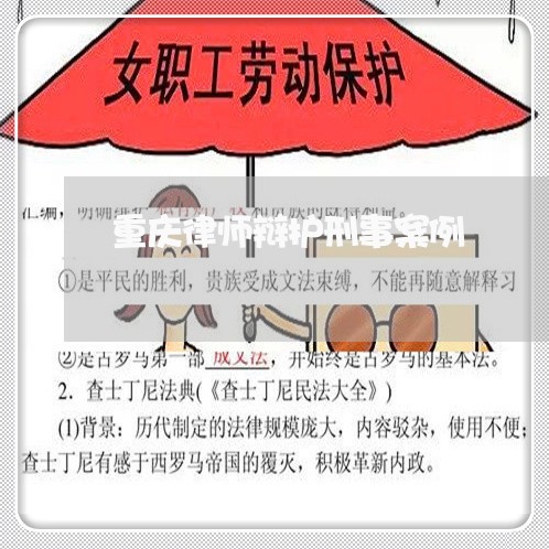 重庆律师辩护刑事案例 重庆律师辩护刑事案例