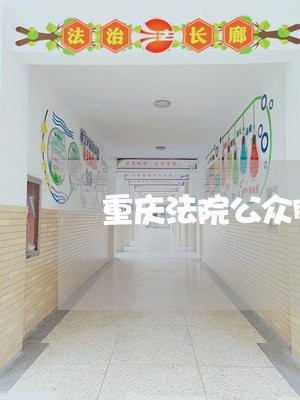 重庆法院公众服务网公告查询