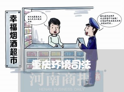 重庆环境司法