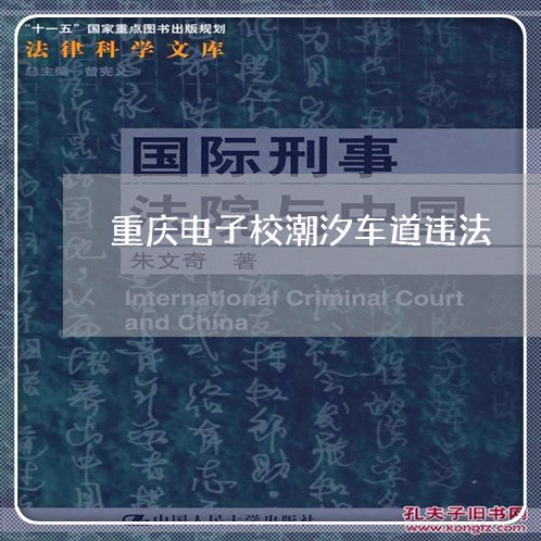 重庆电子校潮汐车道违法