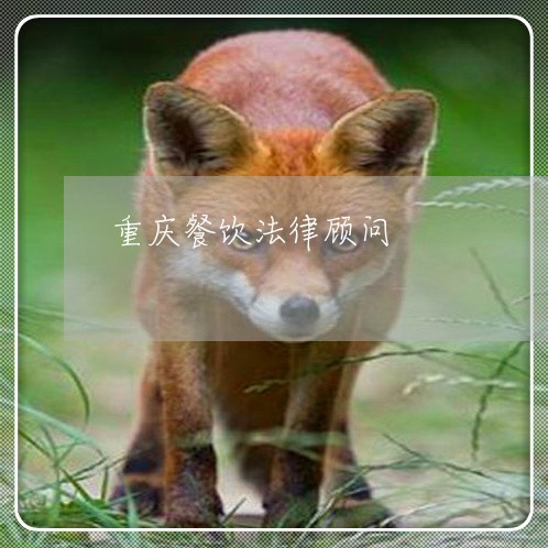 重庆餐饮法律顾问/2023061760624 重庆餐饮法律顾问/2023061760624