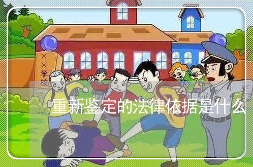 重新鉴定的法律依据是什么 重新鉴定的法律依据是什么
