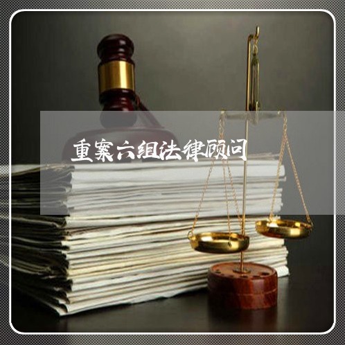 重案六组法律顾问/2023061883824