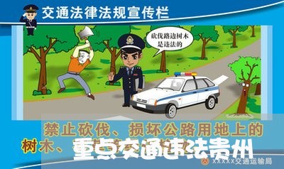 重点交通违法贵州 重点交通违法贵州