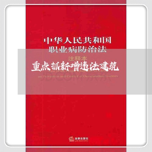 重点抓新增违法建筑