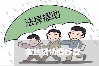 金丝贷协商还款/2023110616128