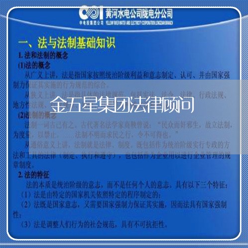 金五星集团法律顾问/2023061896937 金五星集团法律顾问/2023061896937