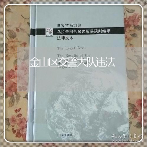 金山区交警大队违法 金山区交警大队违法