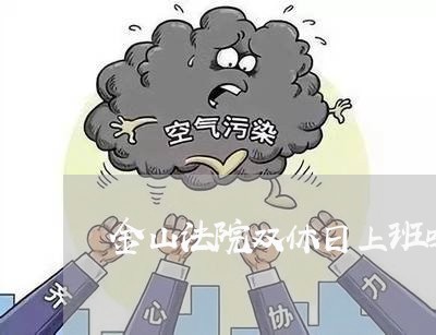 金山法院双休日上班吗