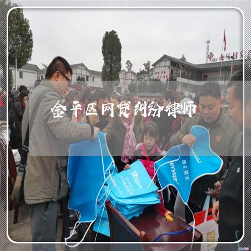 金平区网贷纠纷律师