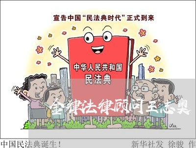 金律法律顾问王志奥/2023061841793