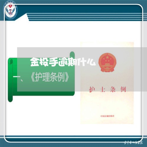 金投手逾期什么