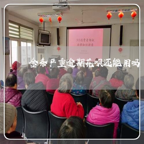 金条严重逾期花呗还能用吗 金条严重逾期花呗还能用吗