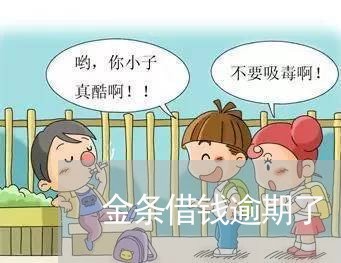 金条借钱逾期了 金条借钱逾期了