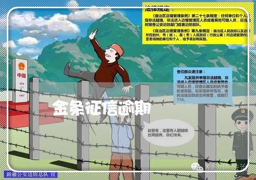 金条征信逾期 金条征信逾期