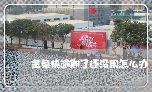 金条快逾期了还没用怎么办 金条快逾期了还没用怎么办