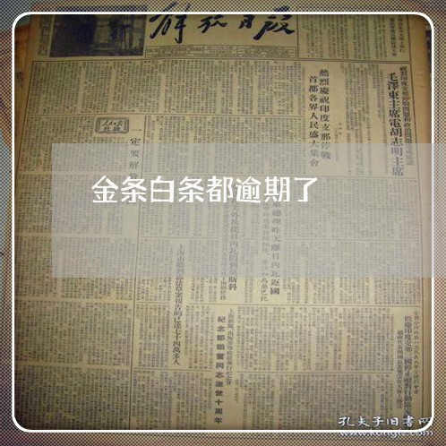 金条白条都逾期了